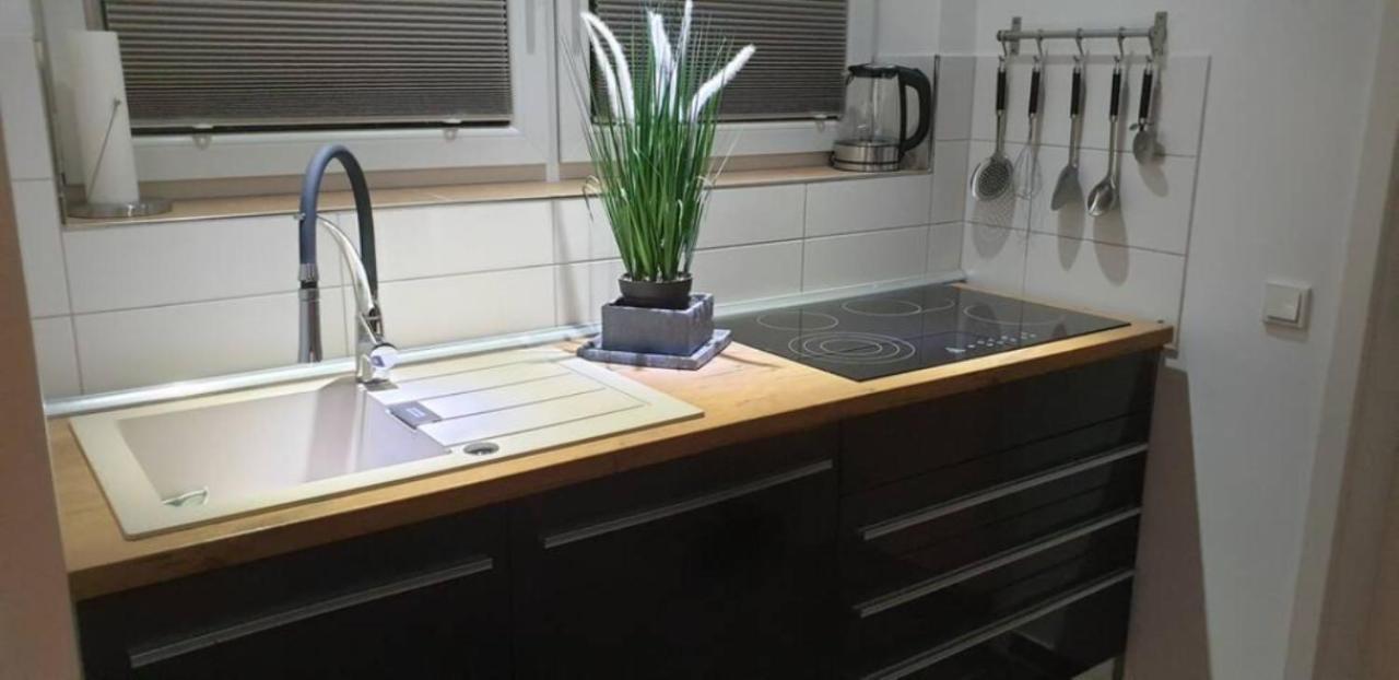 Schicke Ferienwohnung Mit Harzblick Fuer 1-2 Oder 1-4 Personen Goslar Exteriér fotografie